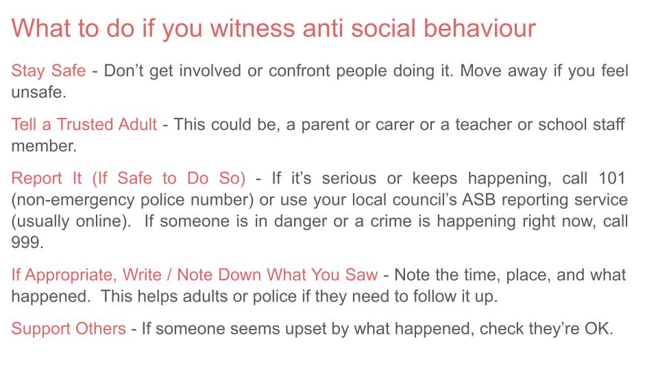 anti social behaviour citizenship pshe lesson