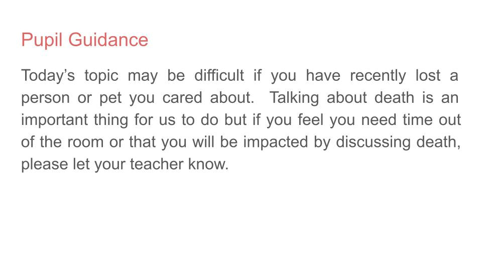 bereavement mourning grief pshe lesson form time tutor resource pupil guidance