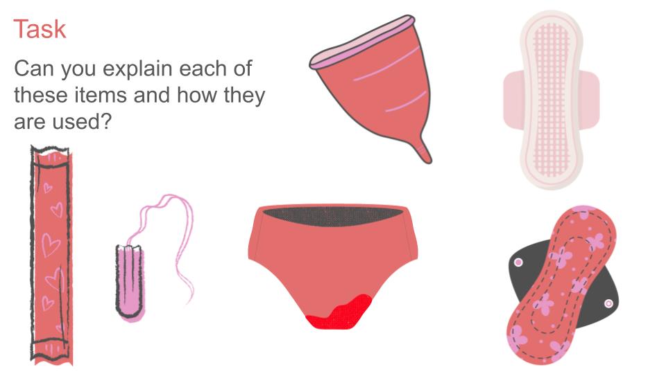 Menstrual and Gynaecological Health Lesson