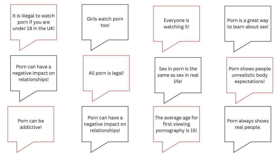 pornography lesson true or false