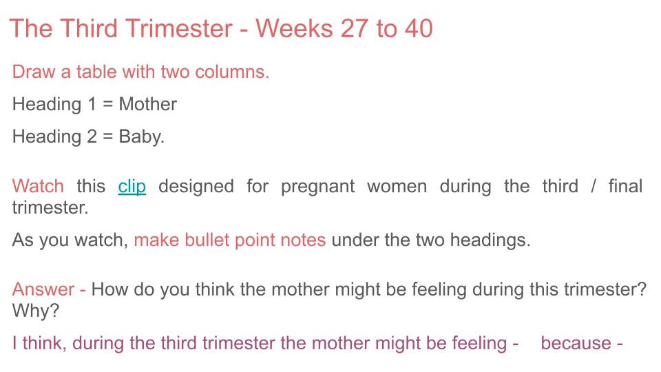 Pregnancy lesson tutor time pupil workbook 2026 pshe rshe guidance resources trimester