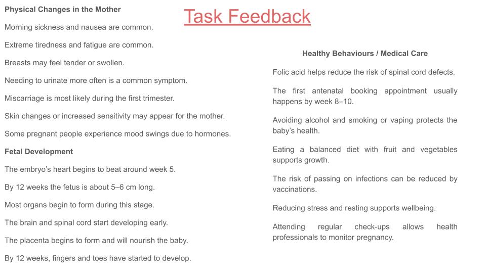 Pregnancy lesson tutor time pupil workbook 2026 pshe rshe guidance resources