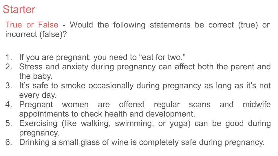 Pregnancy lesson tutor time pupil workbook 2026 pshe rshe guidance resources starter