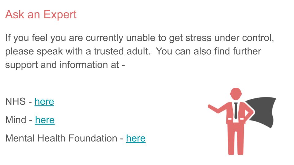 stress support lesson slide