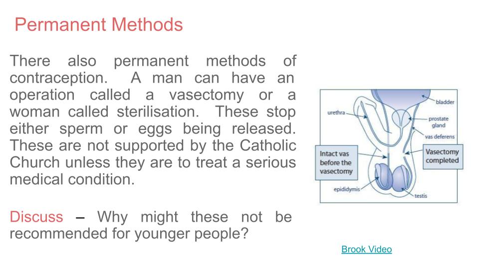 Contraception Lesson for Catholic Schools