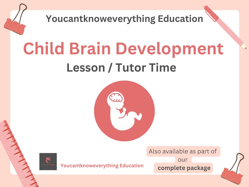 Secondary child brain development pshe lesson tutor time resource KS3 KS4 affordable