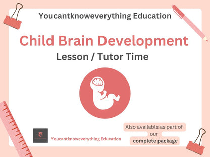 Secondary child brain development pshe lesson tutor time resource KS3 KS4 affordable
