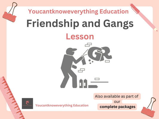 Gangs and Friendship PSHE Lesson