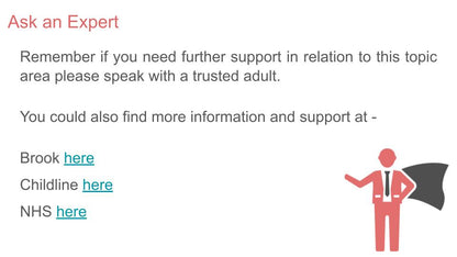 introduction to sex pshe rshe lesson tutor time workbook resource from youcantknoweverything education.  free further support