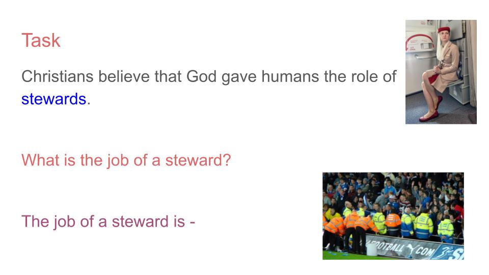 stewardship e6nvironment lesson RE RS religious+
666666