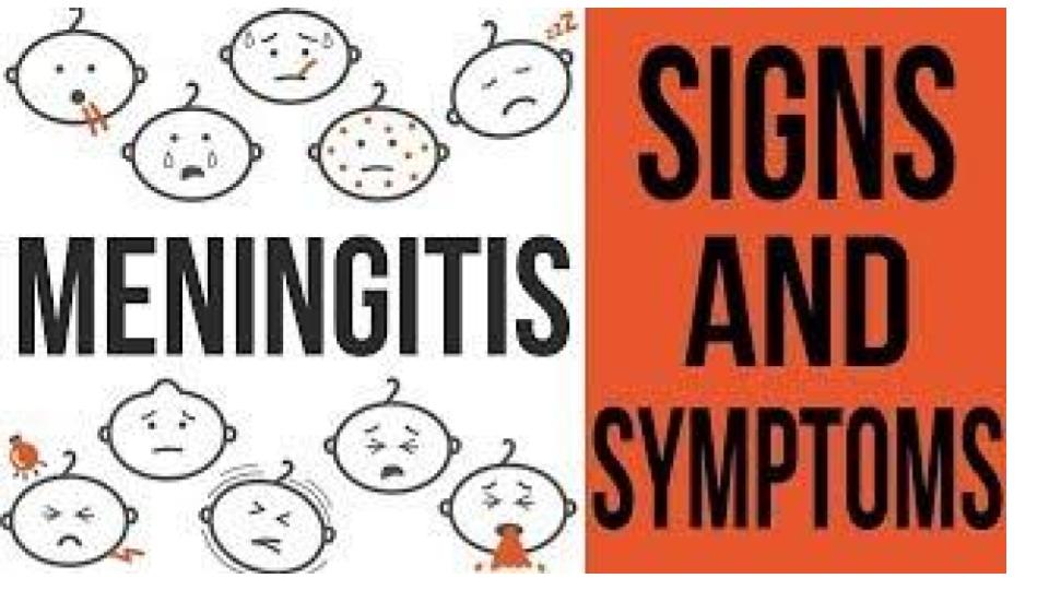 Meningitis Tutor Time / Assembly