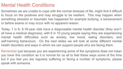 Mental Health Lesson