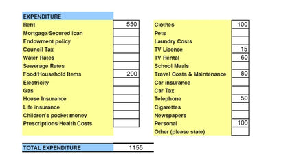 Budgeting Money Lesson or Tutorial