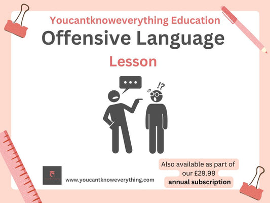 Offensive Language / Bullying Lesson