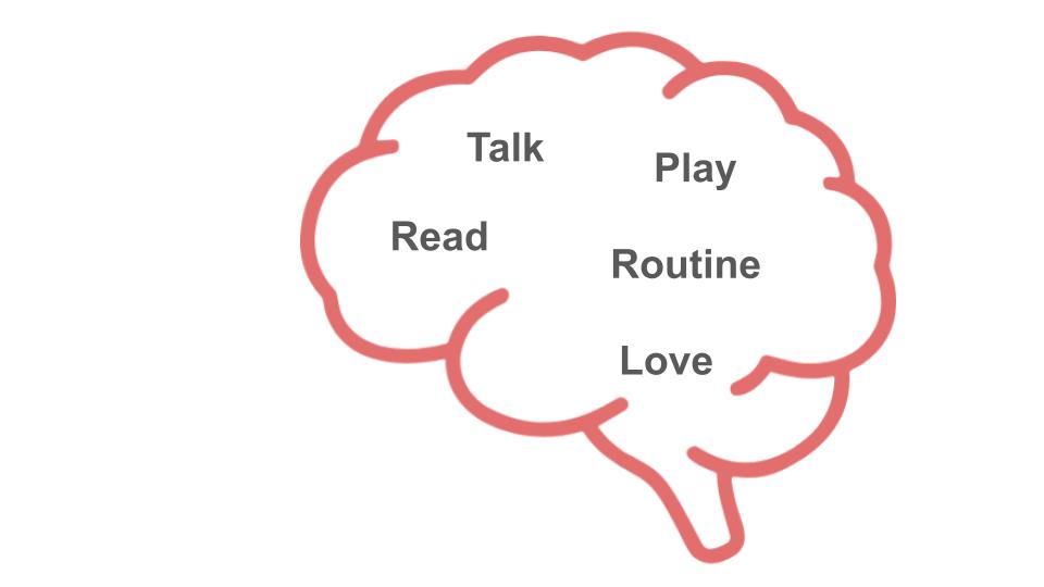 Child Brain Development PSHE Lesson / Tutor Time
