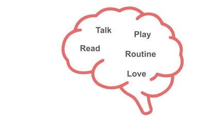 Child Brain Development PSHE Lesson / Tutor Time