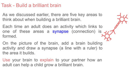 Child Brain Development PSHE Lesson / Tutor Time