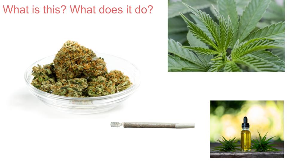 Common Illegal Drugs and Concerns PSHE Lesson / Tutor Time