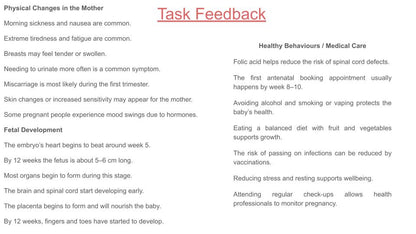 Pregnancy lesson tutor time pupil workbook 2026 pshe rshe guidance resources