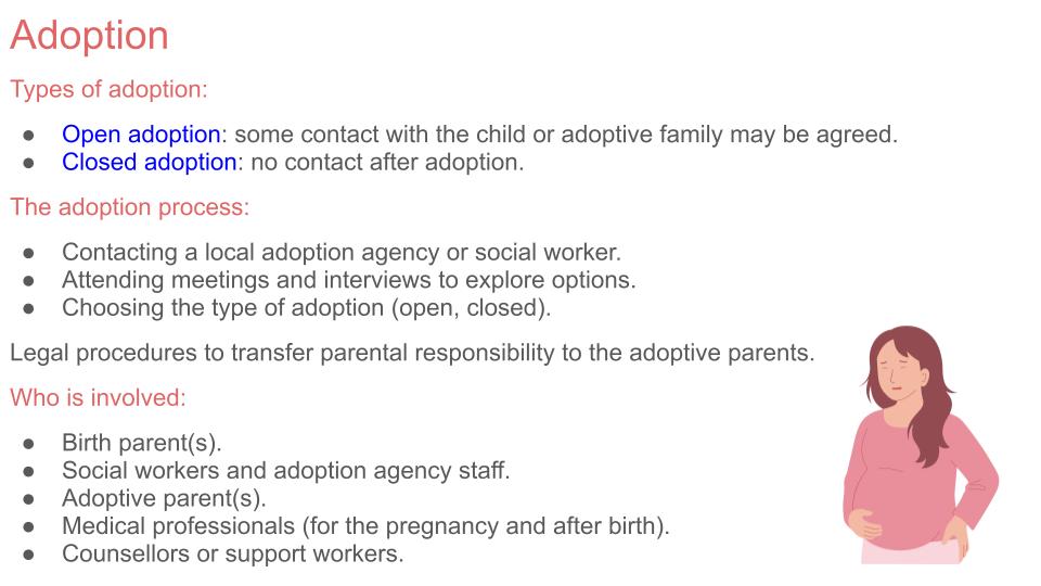 Pregnancy choices 202 rshe guidance pshe lesson tutor time workbook resource adoption