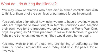 Remembrance Day Lesson or Tutorial / Assembly