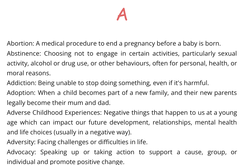 PSHE key terms teacher support CPD