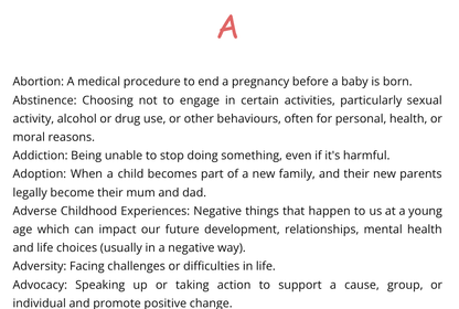 PSHE key terms teacher support CPD