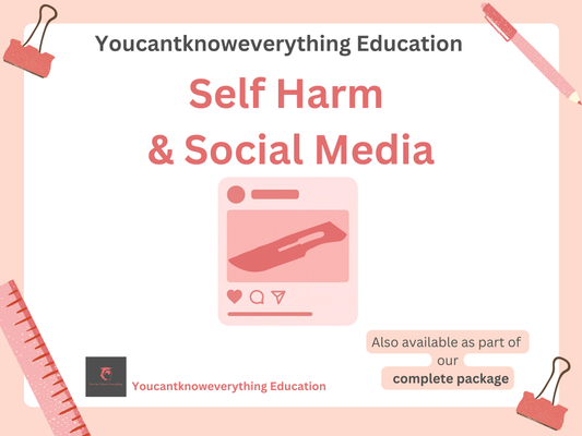 Educational  PSHE poster about self harm and social media with a pink border and text. Usable for tutor time or as a lesson.